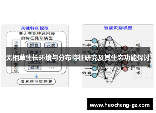 无相草生长环境与分布特征研究及其生态功能探讨