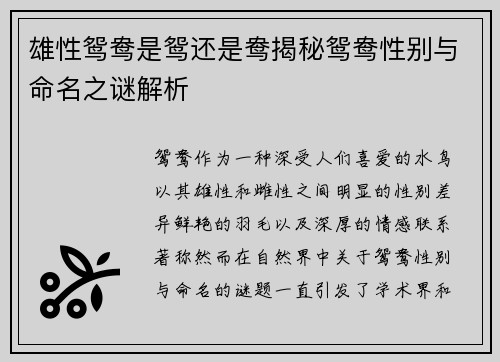 雄性鸳鸯是鸳还是鸯揭秘鸳鸯性别与命名之谜解析